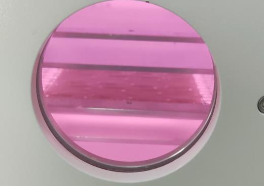 晶圆蜜桃网站在线观看机