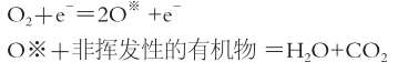 蜜桃网站在线观看机