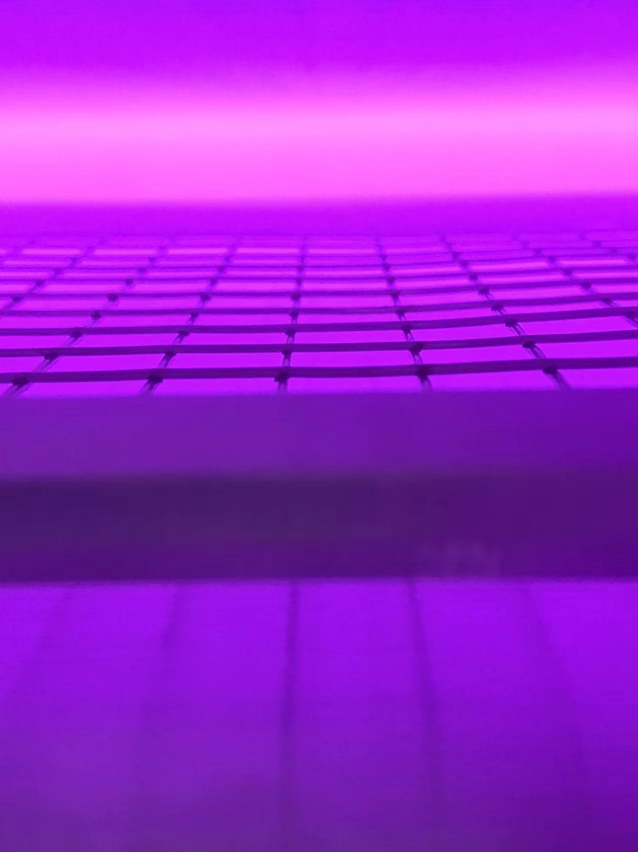 真空蜜桃网站在线观看机