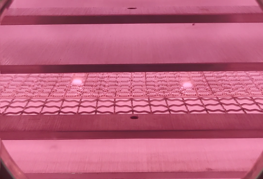 真空蜜桃网站在线观看机