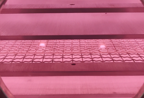 真空蜜桃网站在线观看机