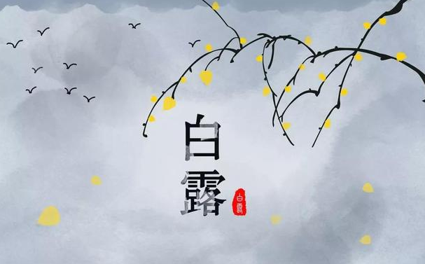今迎白露，盛夏退场-蜜桃精品成人影片蜜桃网站在线观看机