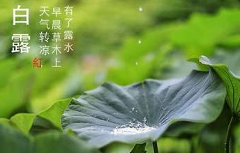 今迎白露，盛夏退场-蜜桃精品成人影片蜜桃网站在线观看机